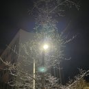 기억의 조각들1 | 2025년 기억의 조각들