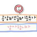 대가김치찌개집 이미지