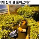 146 | 서산 한식주점 146 동문 내돈내산 찐후기!!