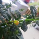 부평우체국 이미지