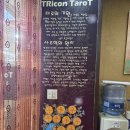 진로 고민이 있다면? 트리콘타로 상담으로 생각 정리해본 후기