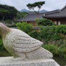 장영민박 이미지