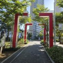 스토리박스 이미지