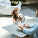 서울애견 이미지