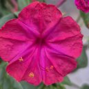 계산3동 행정복지센터 이미지