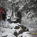 눈꽃이피다 이미지