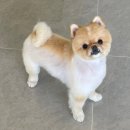 멍풀하우스 이미지