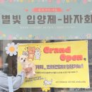 별빛쉼표 이미지
