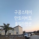 비토짐 | 구공스테이 안토이비토 풀빌라 펜션 내돈내산 후기