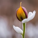 성운목장 이미지