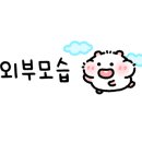 태남농장 네이버블로그