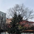 시립미술관 서소문본관 | 서울시립미술관 서소문본관 한운성 기증 특별전 <그림과 현실>에 다녀왔어요 전시회후기