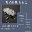 탑스칼프 노원점 네이버블로그