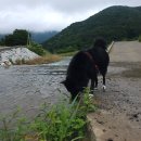 우리동네 감천 이미지