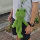 개구리게임장 이미지