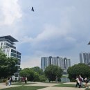 상승영어 이미지