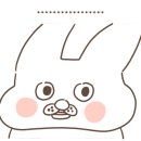 참치마찌 이미지