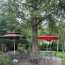 (유성-136) | 대전 유성구 갑동 느낌 좋은 카페 자작나무커피