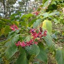 수연 약수터 이미지