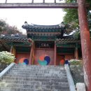 선충사 이미지