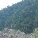 다경씨사이드 이미지