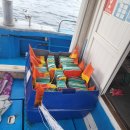 해양선박 행정사무소 이미지