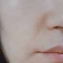 스와니헤어뷰티 | 스와니코코 버거쿠션 연속 3개 사용 솔직 후기(21호 핑크)