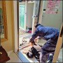 행운3길 이미지