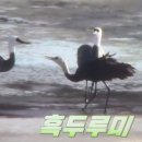 박*화 이미지