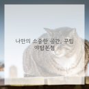 헤어메이트 - 경주시 동대로 10-1 | 헤어메이트