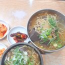 원조선지국밥 | 해운대원조할매국밥 선지국밥 선지국수 내돈내산 후기 아이들과 먹기 좋은 해운대 국밥집