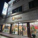 미뇽 캣 이미지