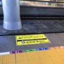G1384 이미지