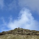 멍멍이달린다 | [스코틀랜드] 스카이섬 2 (The Quiraing 퀴랑 트레일, Neist Point 네이스트 포인트)