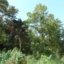 하단동205 이미지