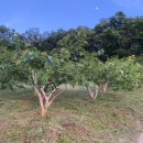 새로나농장 이미지