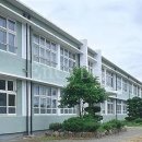 왜관동부초교(병설) 네이버블로그