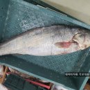 (주)대경수산 이미지
