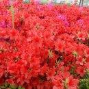 이마트약국 이미지