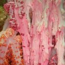 산호환경 이미지