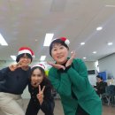테라피+12 | 테라피 12