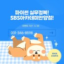 범계파이썬학원-파이썬, 업무 자동화, 데이터 시각화! AI연동! 비전공자도 된다고??!