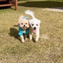 즐거운유치원 이미지