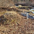 문평공원 이미지