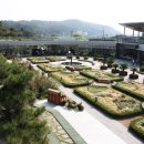 신구대학식물원 네이버블로그