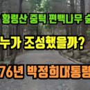 황령산 편백단지 이미지