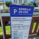 다농마트뒤 공영유료주차장 | 동문재래시장공영주차장/찰리공장 /제주고씨네 미니애플망고 ,귤택배 내돈내산솔직후기