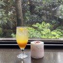 운주목장 | 2day :: 고씨네 천지국수, 정방폭포, 신례리공동목장, 우드노트 카페, 큰엉해안경승지, 소천지, 낭쿰낭쿰