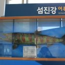 섬진강어류생태관 이미지