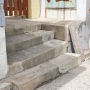 굿데이동물병원 | 청라언덕역 카페 굿데이마마